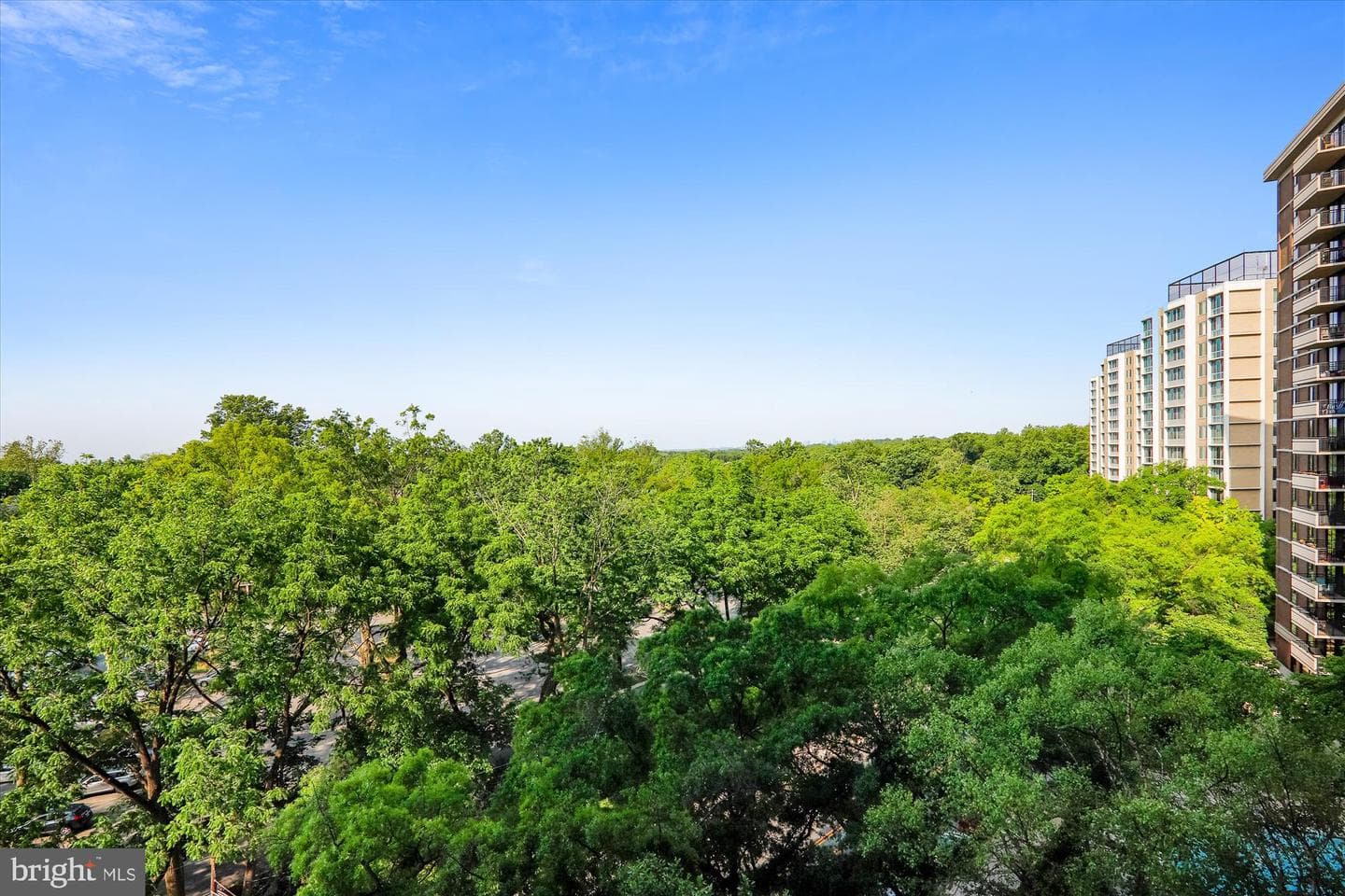 4620 N Park Avenue #1205 E photo 4