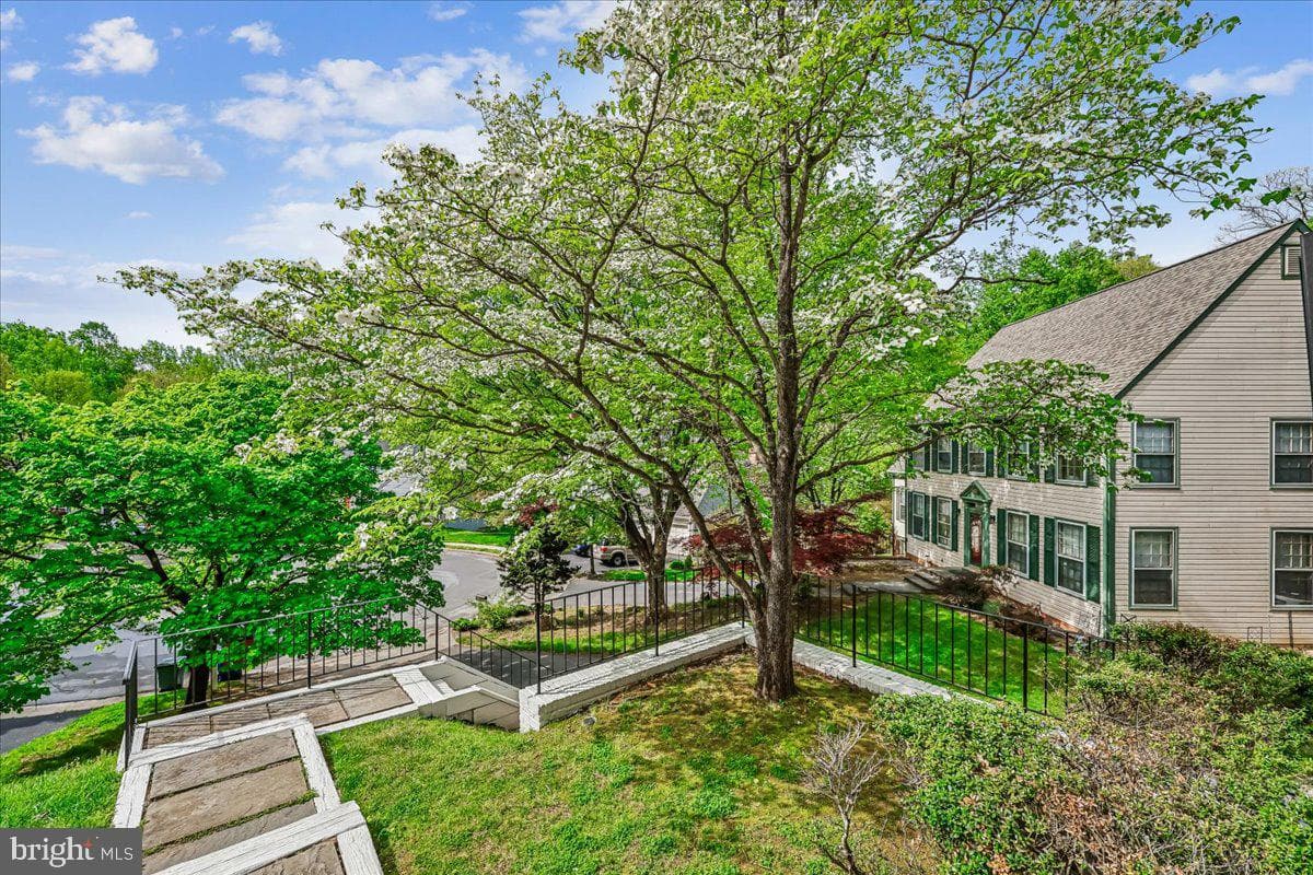 11449 Frances Green Drive photo 4