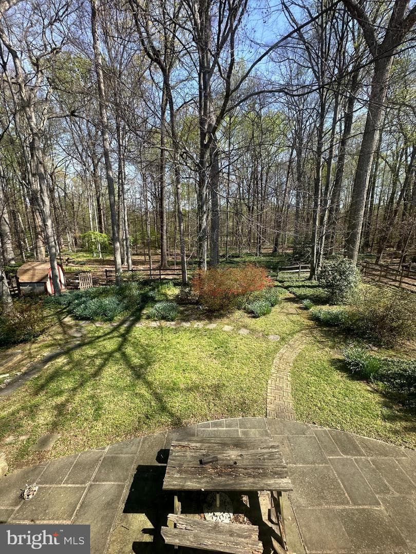 6621 Sulky Lane photo 11