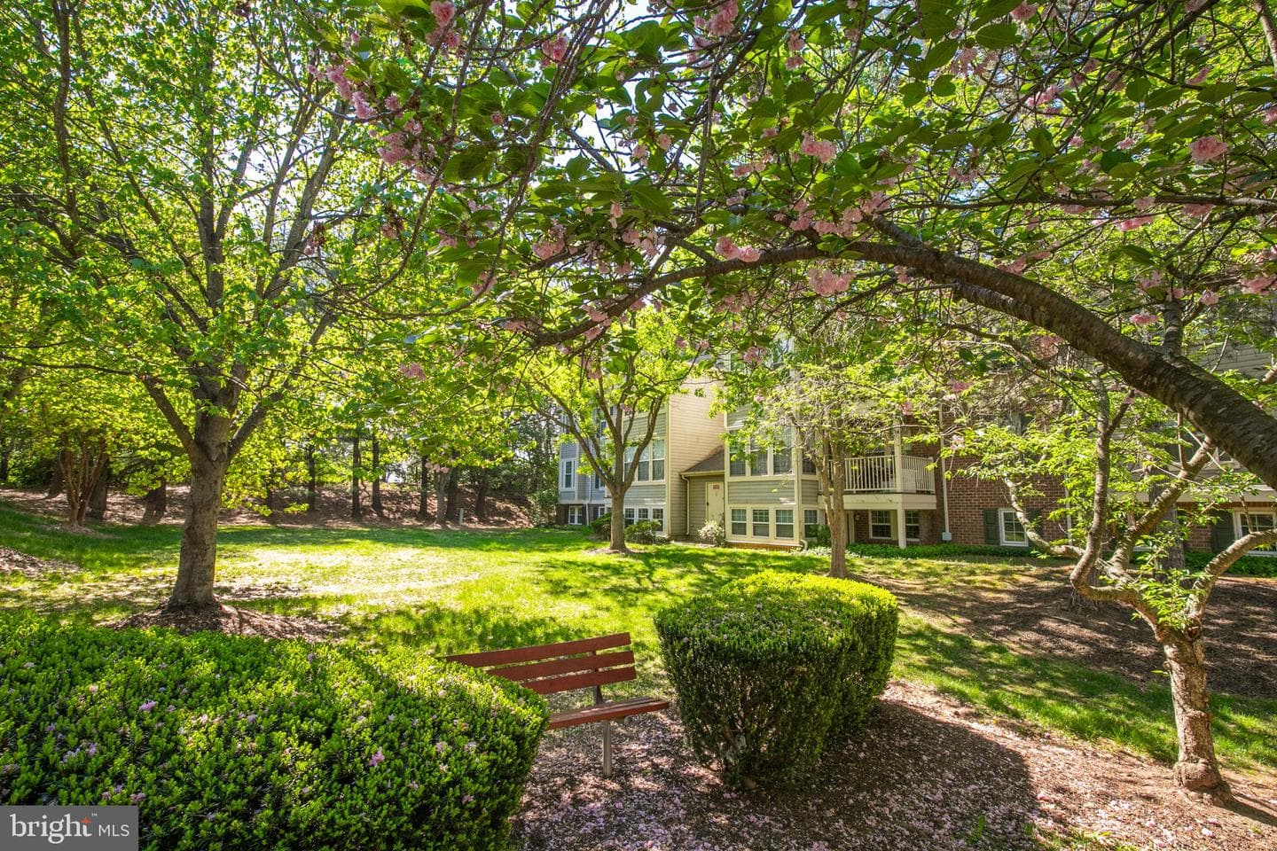 13108 Briarcliff Terrace ##703 photo 33