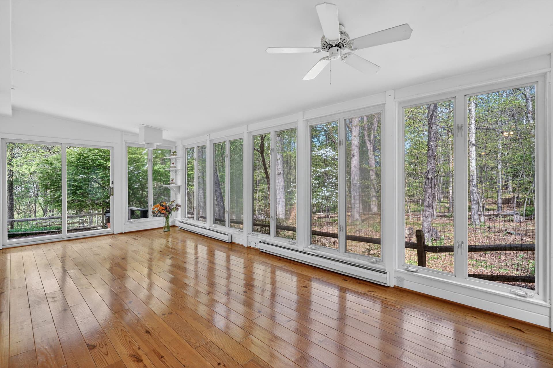 11804 Cherry Grove Drive photo 11