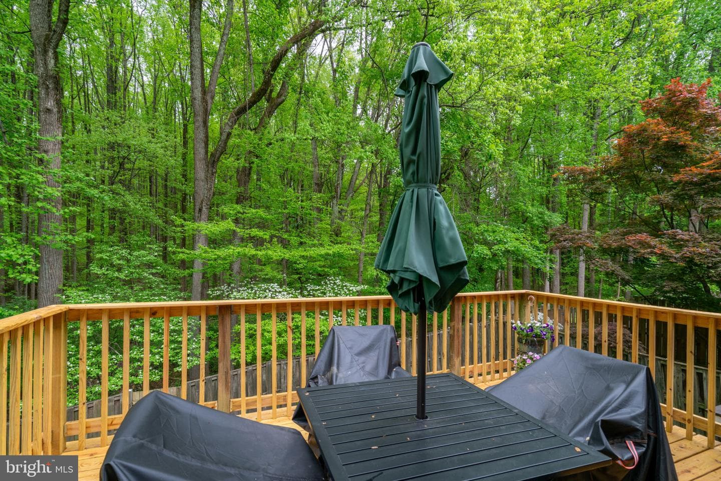 1314 Alderton Lane photo 7