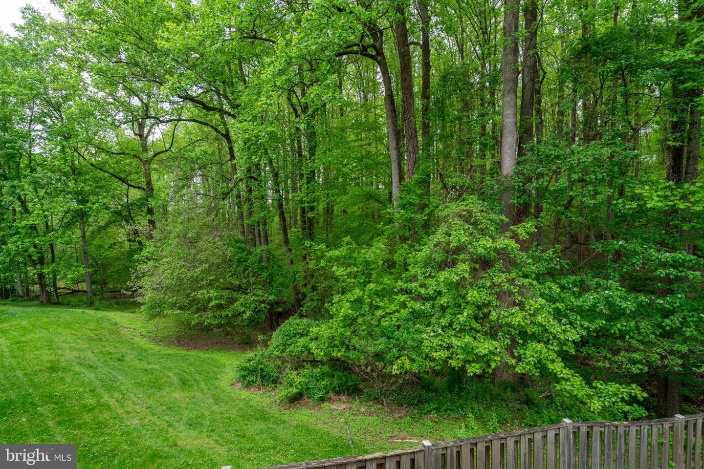 1314 Alderton Lane photo 8