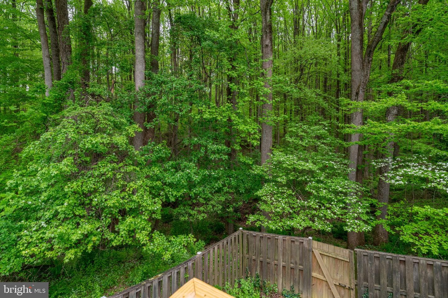 1314 Alderton Lane photo 9