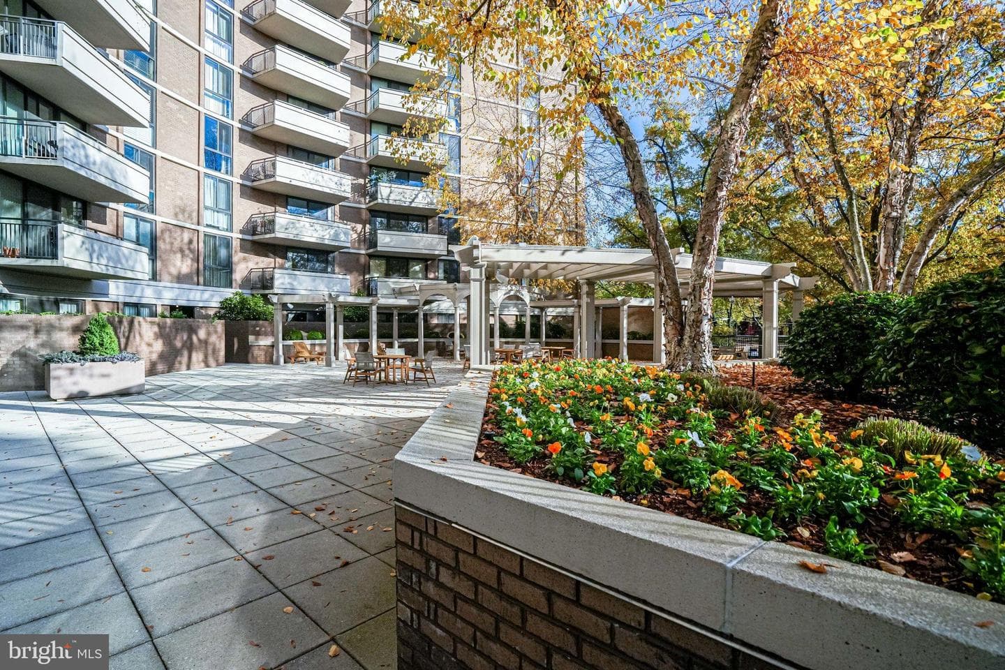 4620 N Park Ave # 709E photo 10