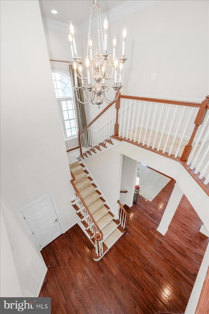 11117 Potomac Oaks Drive photo 40