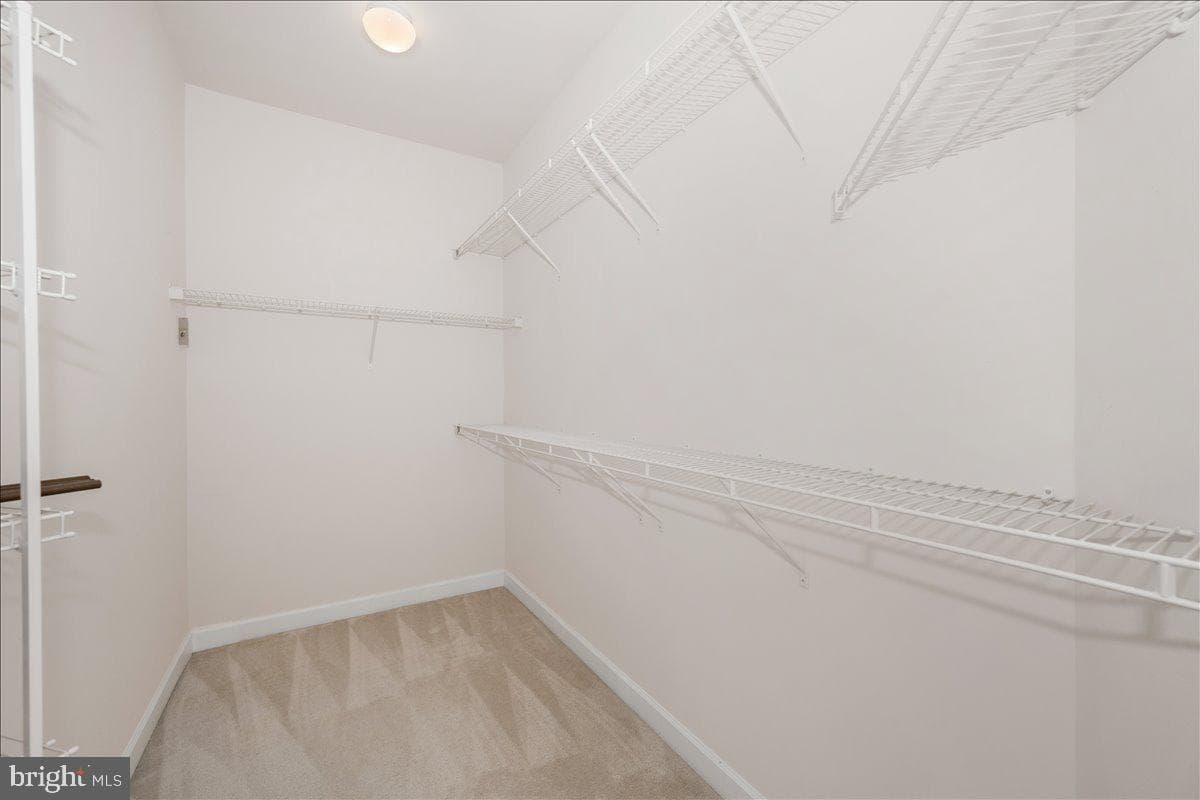 11117 Potomac Oaks Drive photo 51