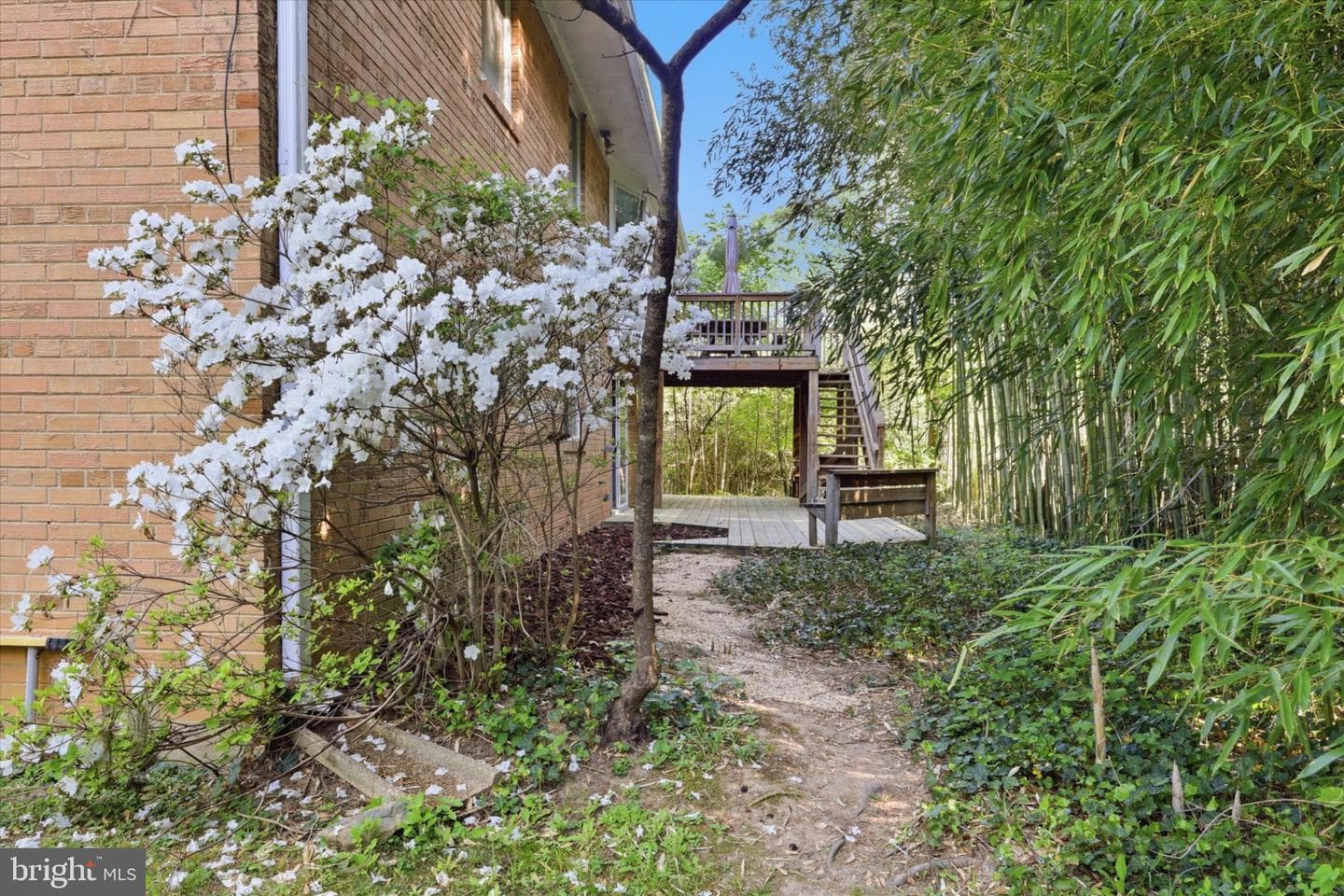 8104 Hawthorne Court photo 33