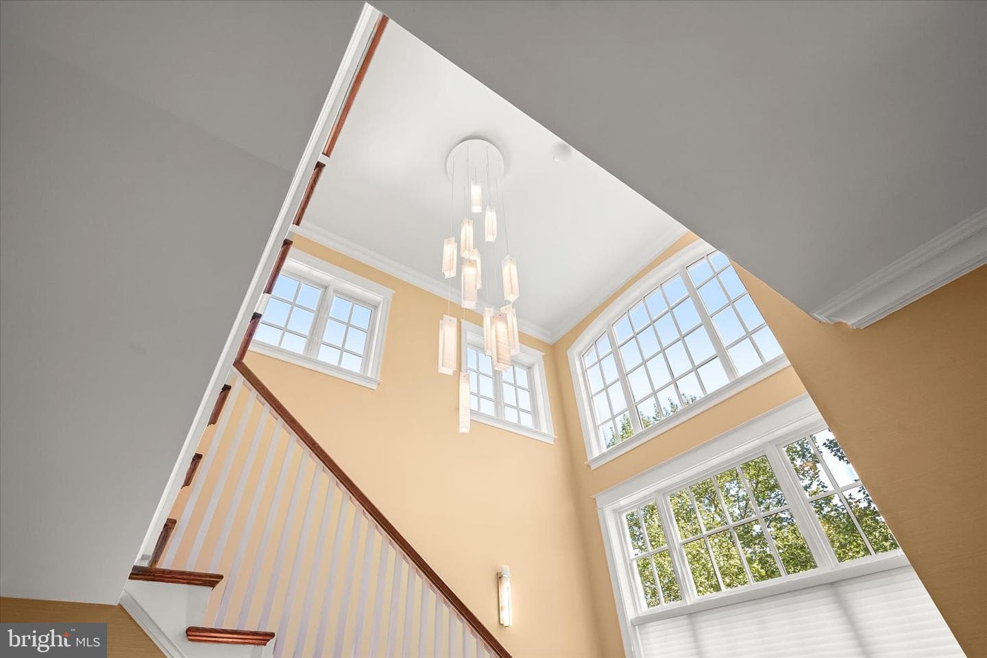 4423 Walsh Street photo 7