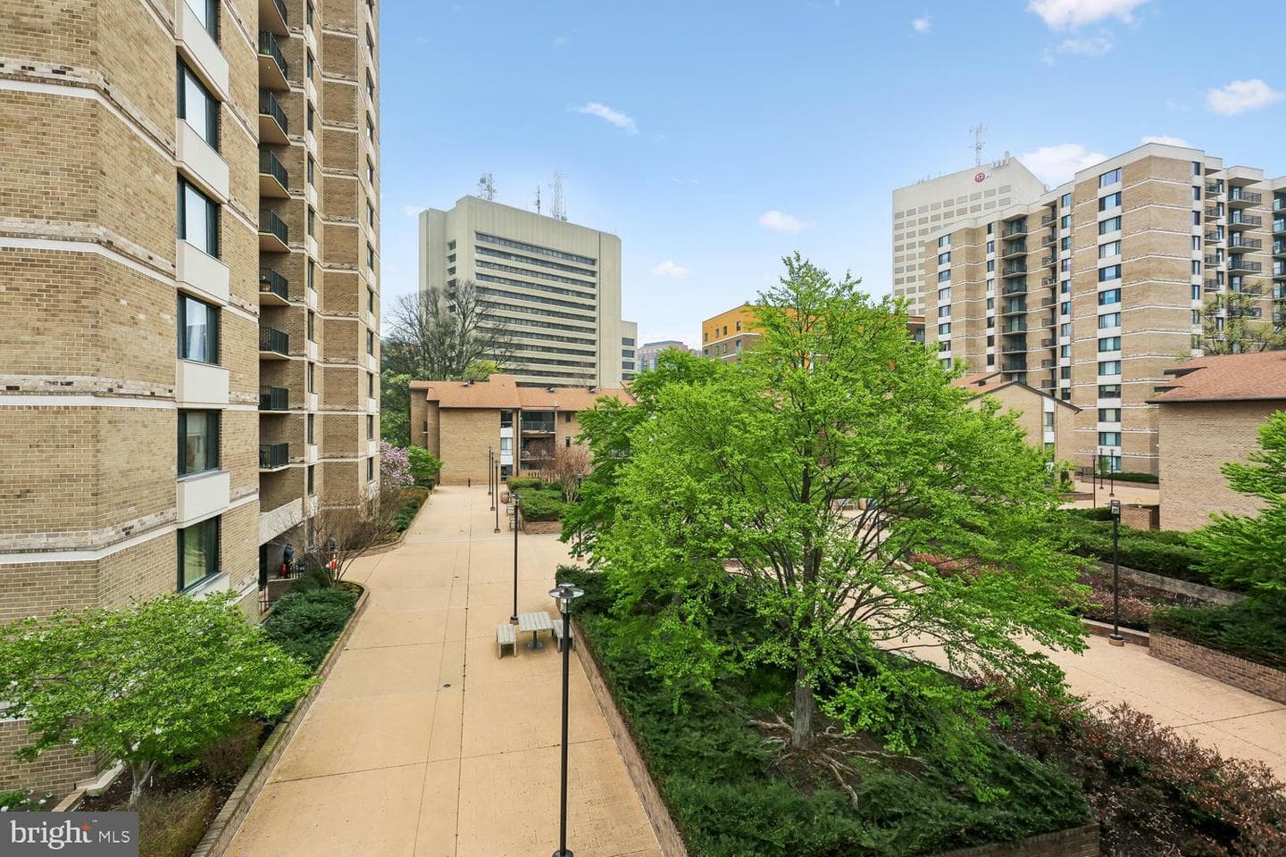 150 Monroe Street #302 photo 12