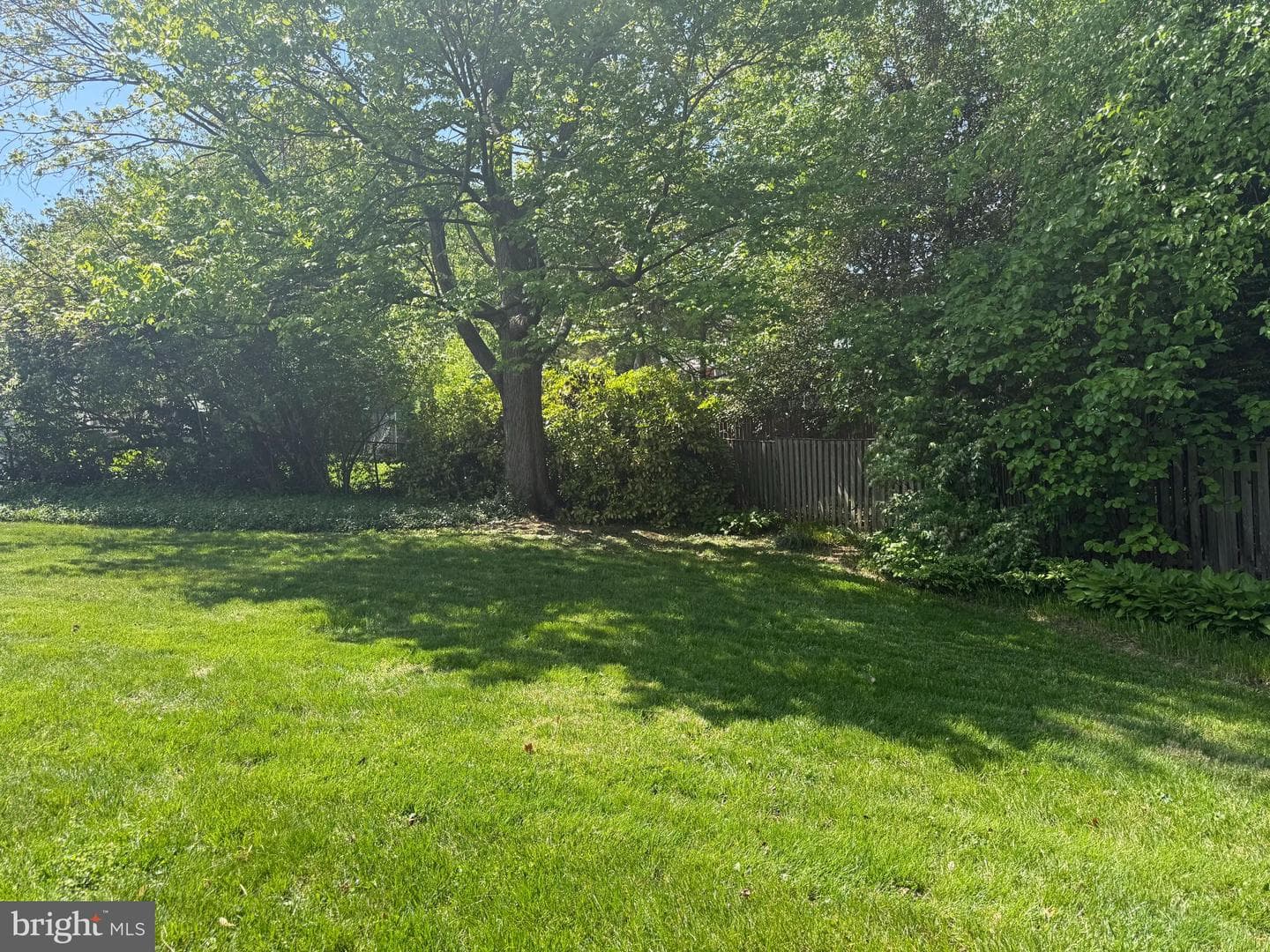 6017 Cheshire Drive photo 24