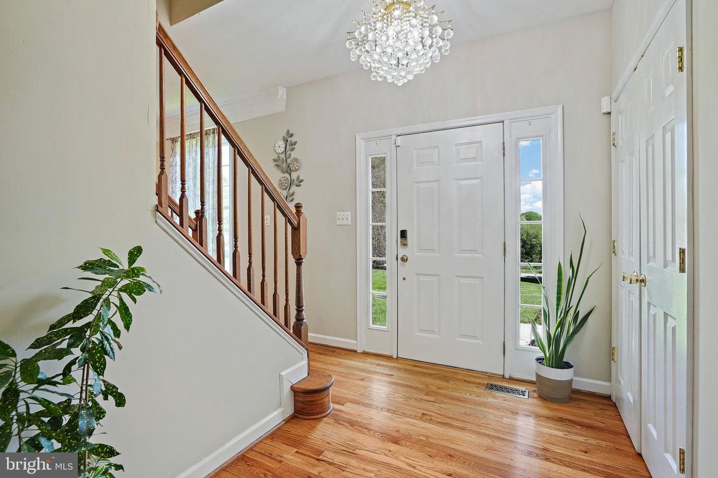 23816 Echo Creek Court photo 4
