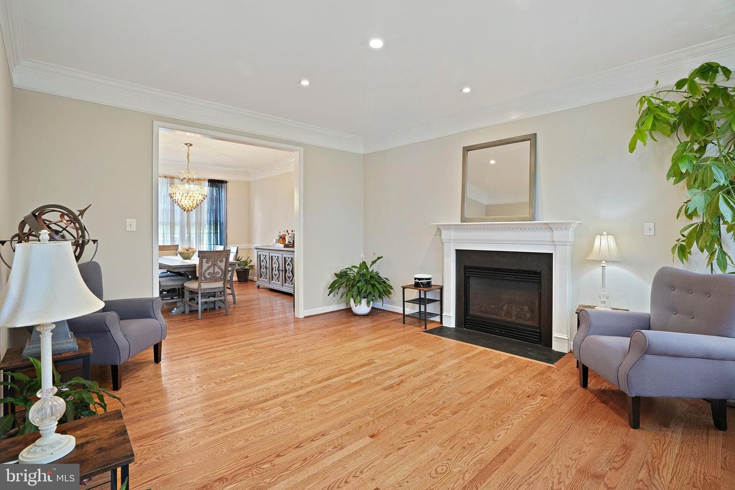 23816 Echo Creek Court photo 6