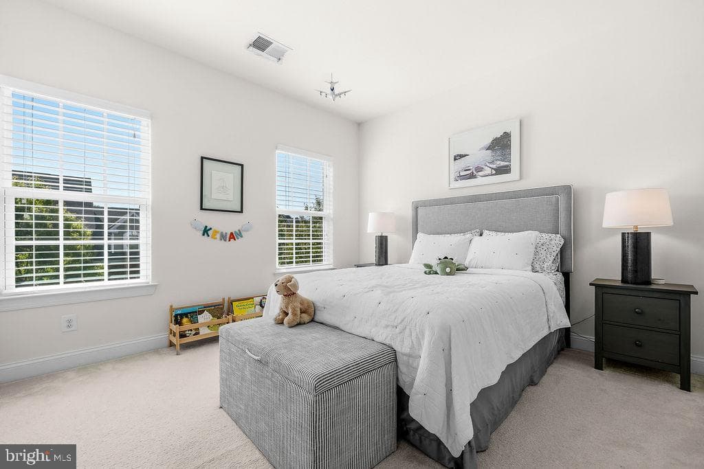 22478 Winding Woods Way photo 44