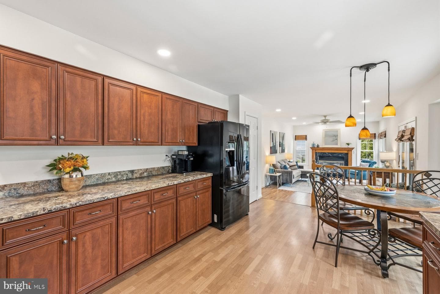 17709 Crystal Spring Terrace photo 13