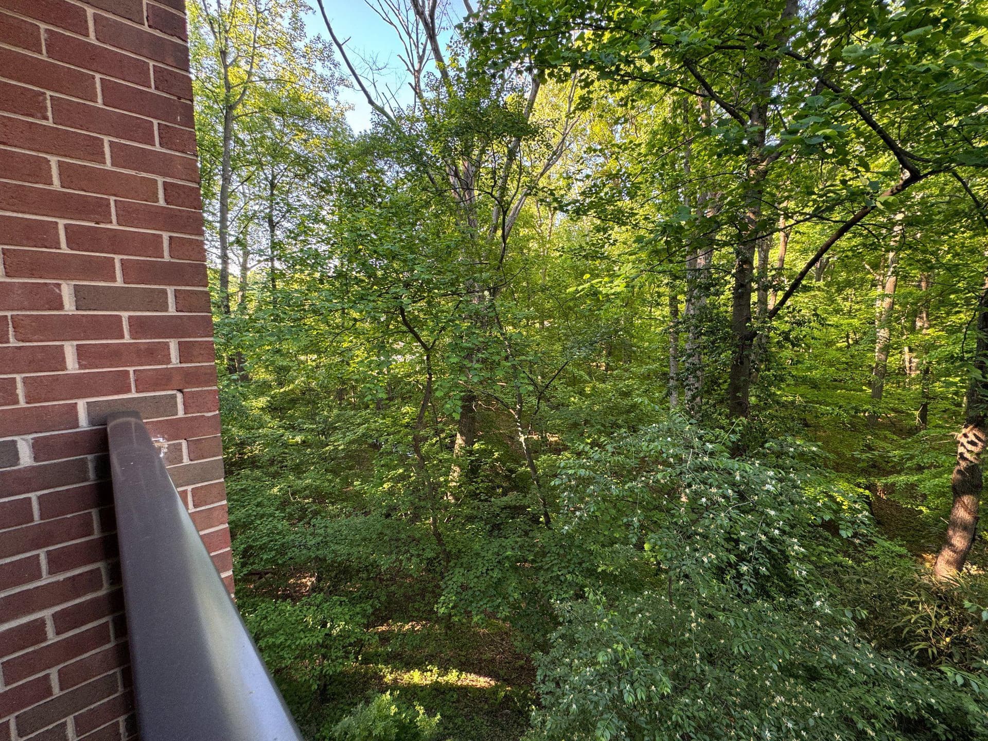 876 College Parkway #201 photo 32