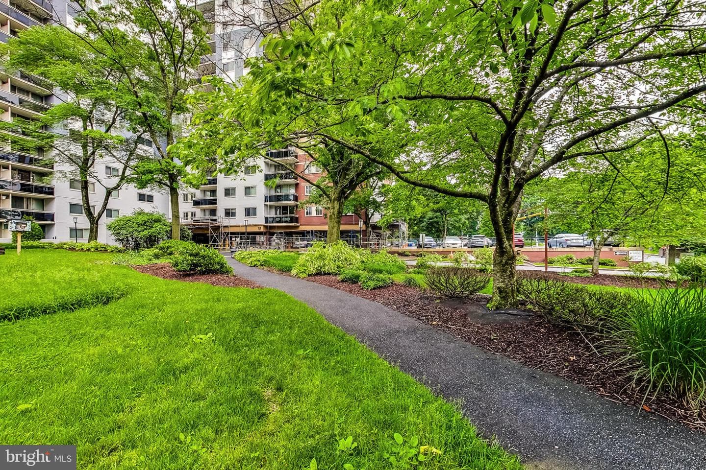 7333 New Hampshire Avenue #102 photo 40