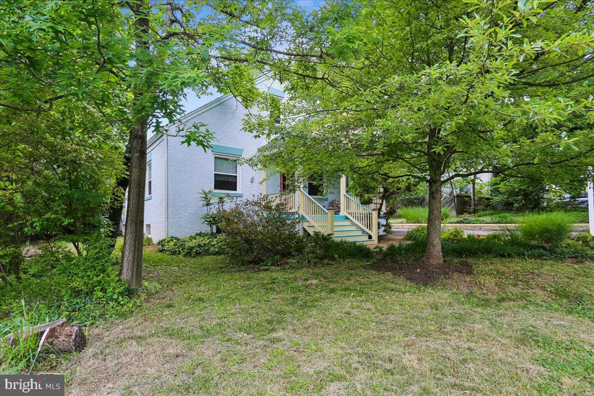 9 Pine Avenue photo 104