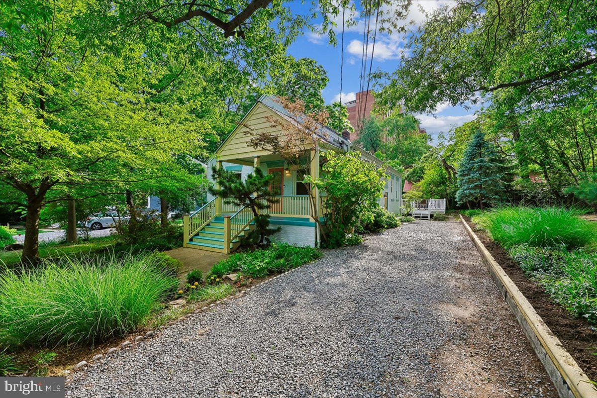 9 Pine Avenue photo 79