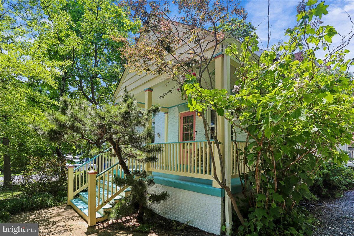 9 Pine Avenue photo 98