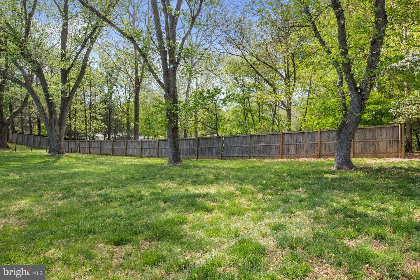 413 Vierling Drive photo 81