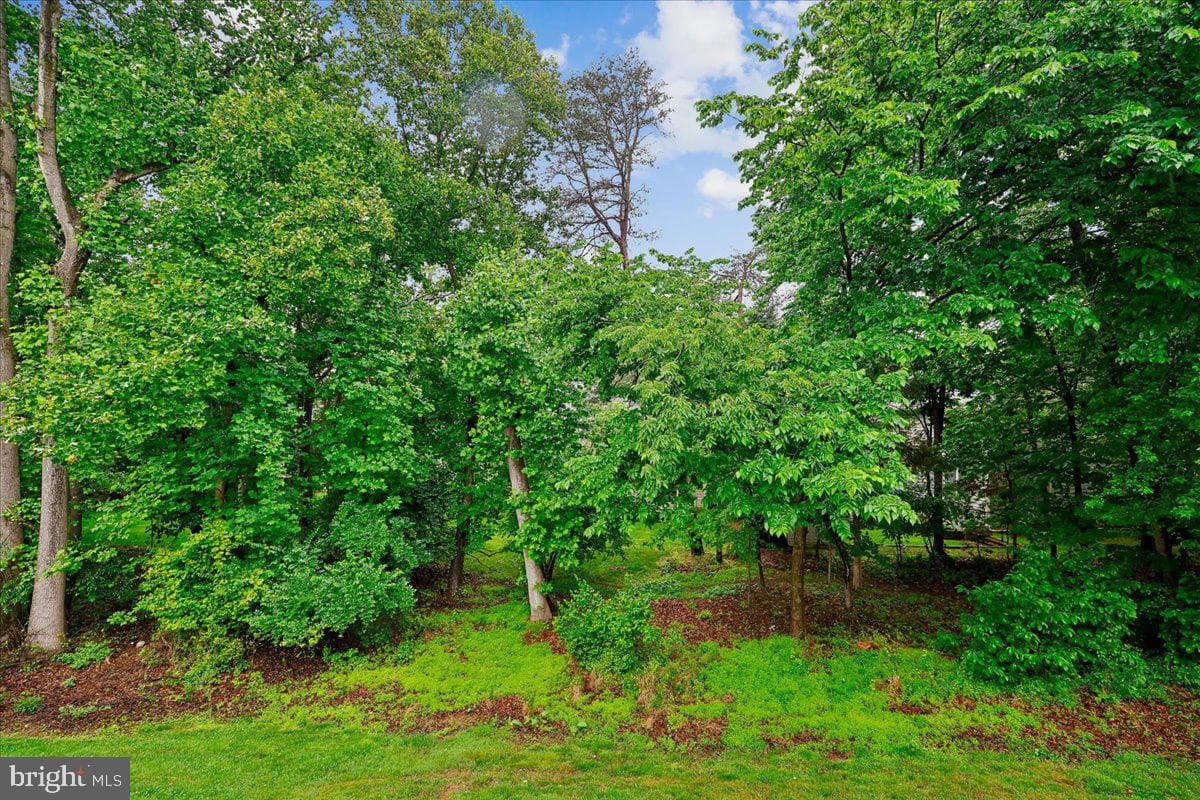 11416 Ramsburg Court photo 11