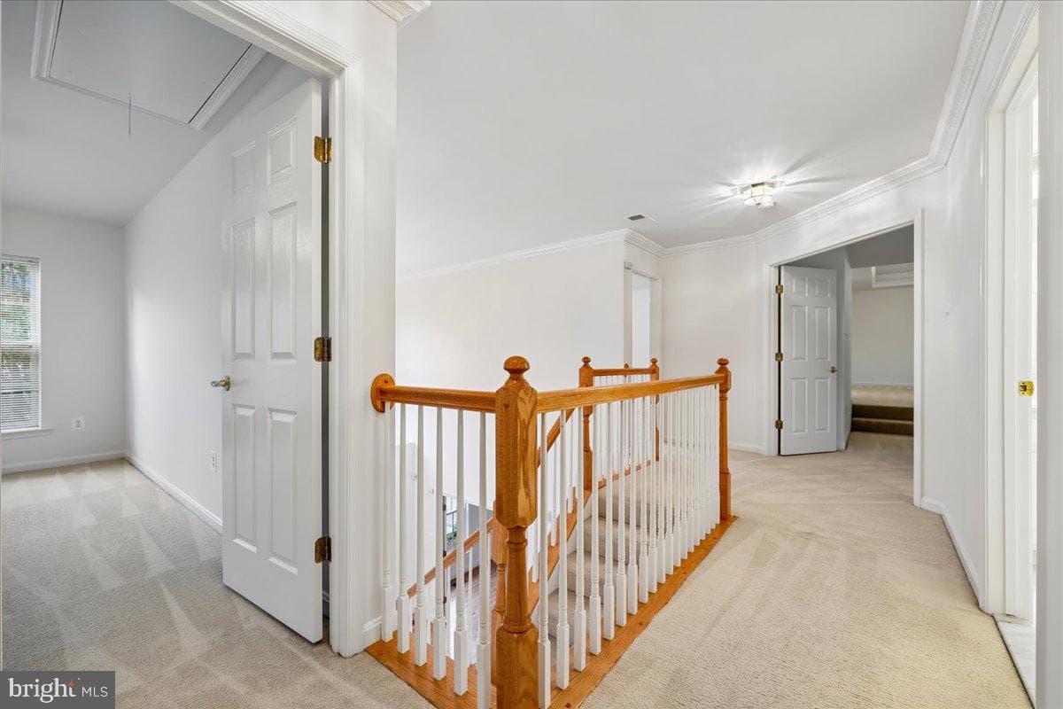 11416 Ramsburg Court photo 52