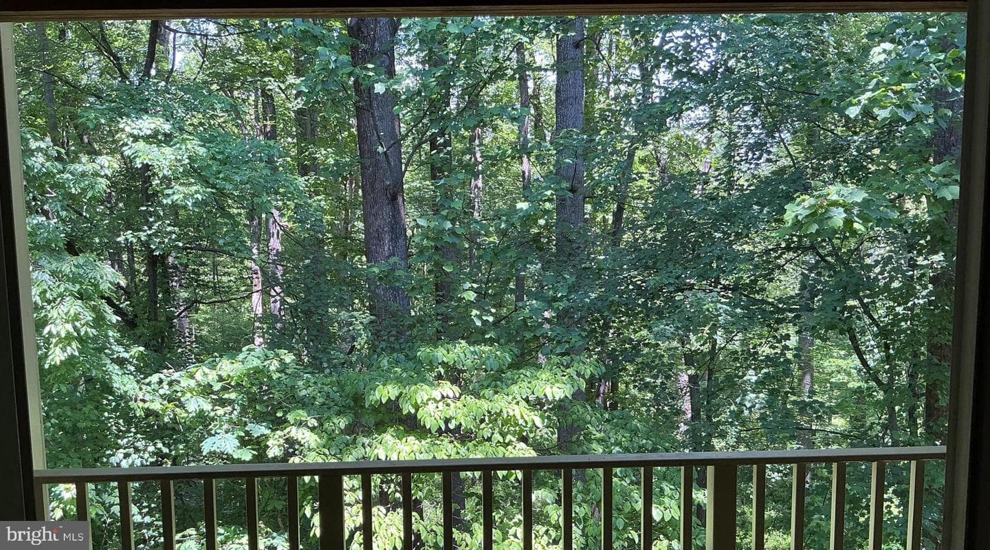 127 Timberbrook Lane #202 photo 7