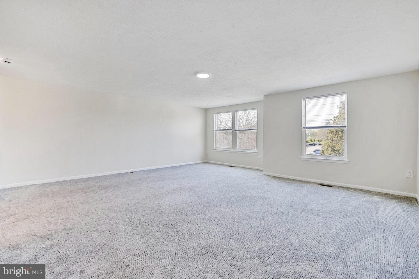522 Palmtree Drive photo 9