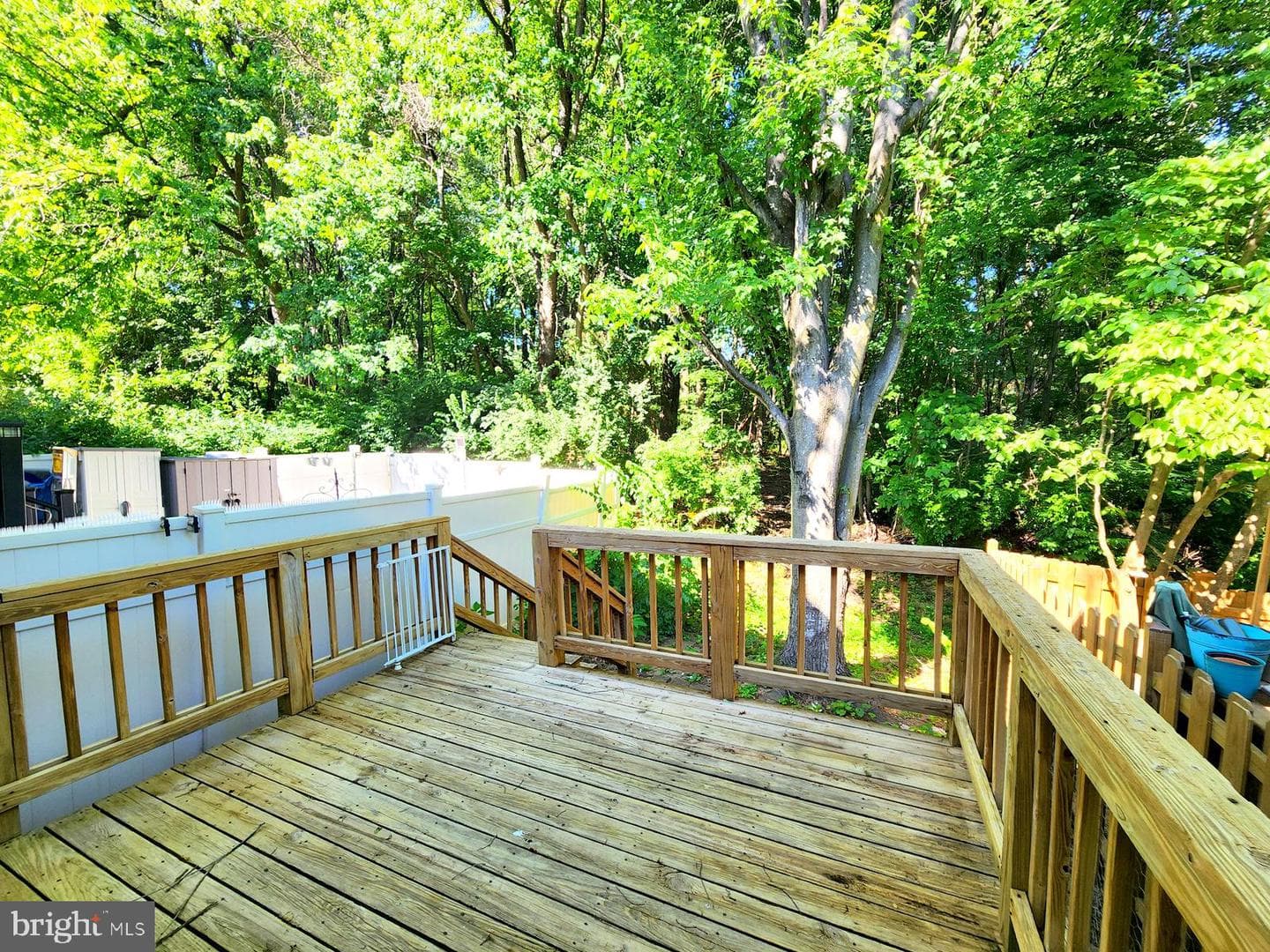 20477 Summersong Lane photo 12