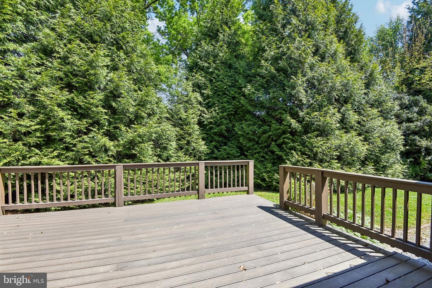 9300 Judge Place photo 12