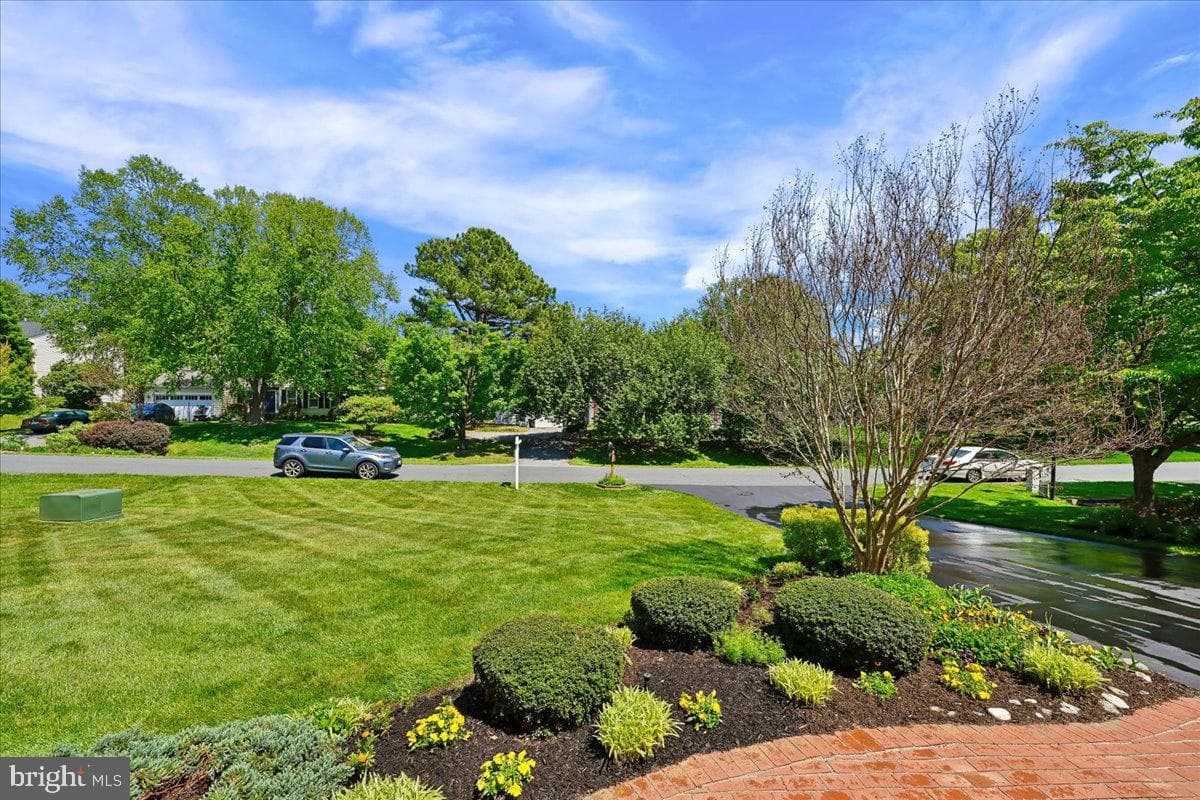14304 Shoreham Drive photo 16