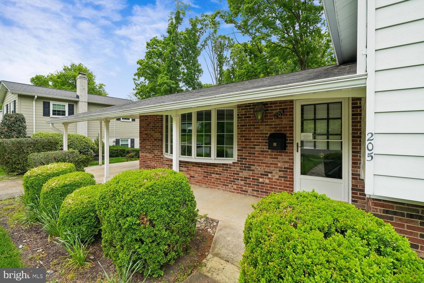 205 Tulip Drive photo 3