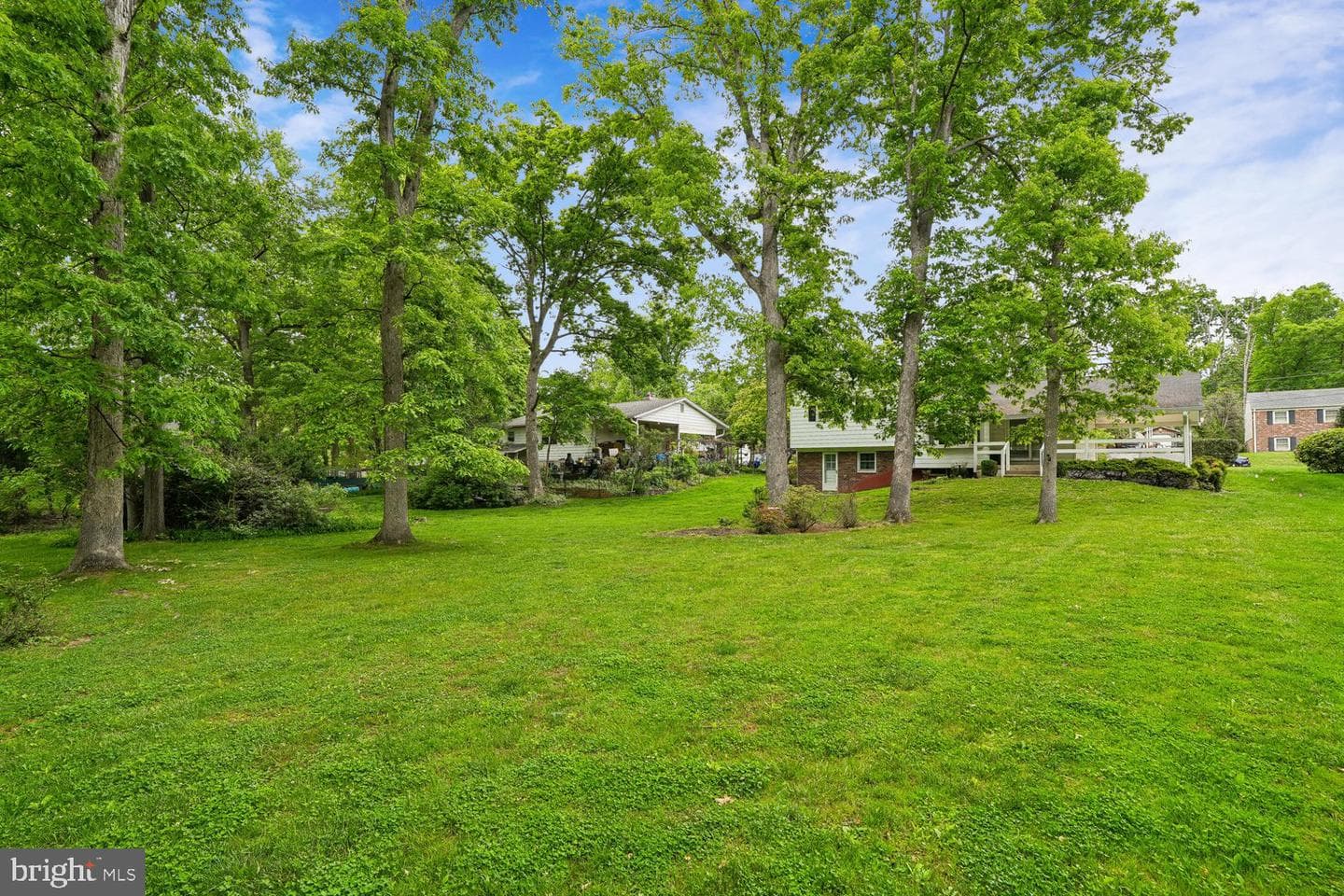 205 Tulip Drive photo 5