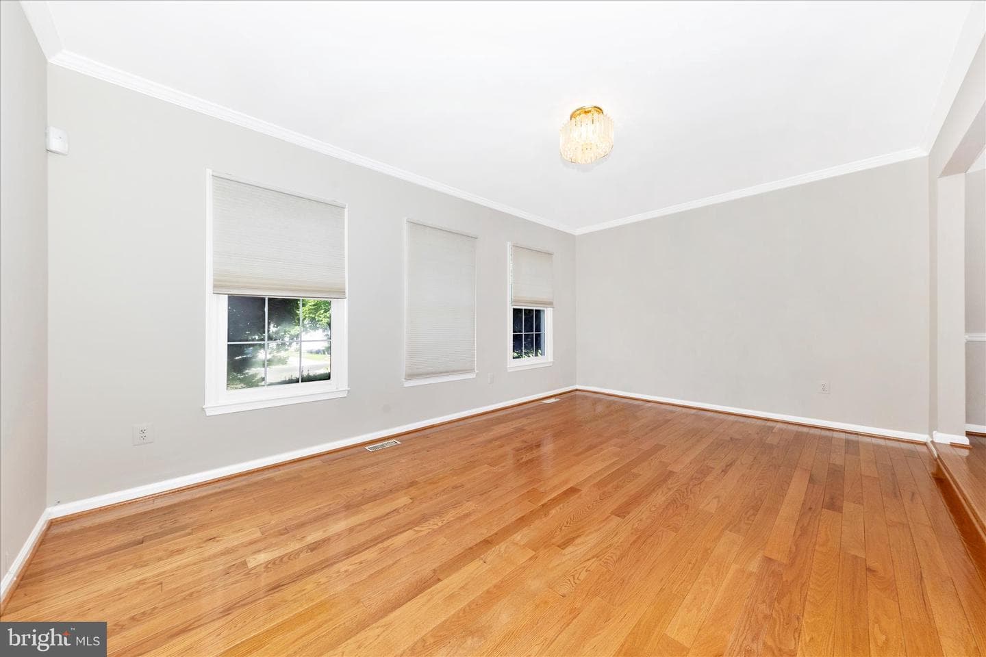 12007 Leatherbark Way photo 7