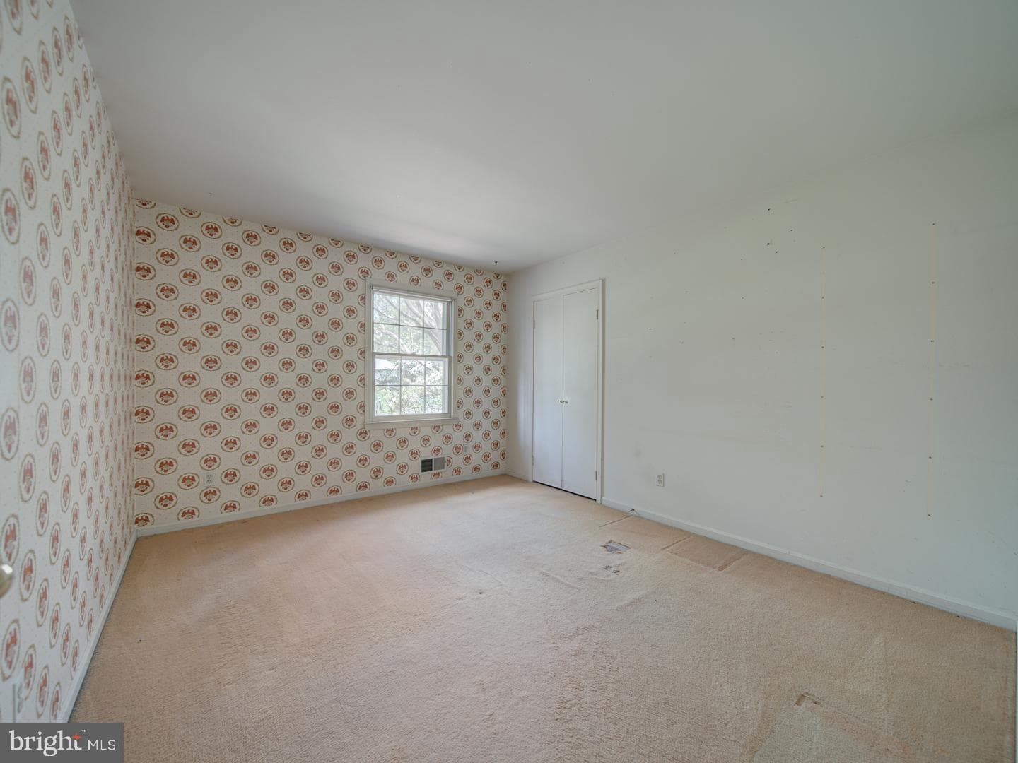 15313 Basswood Court photo 20