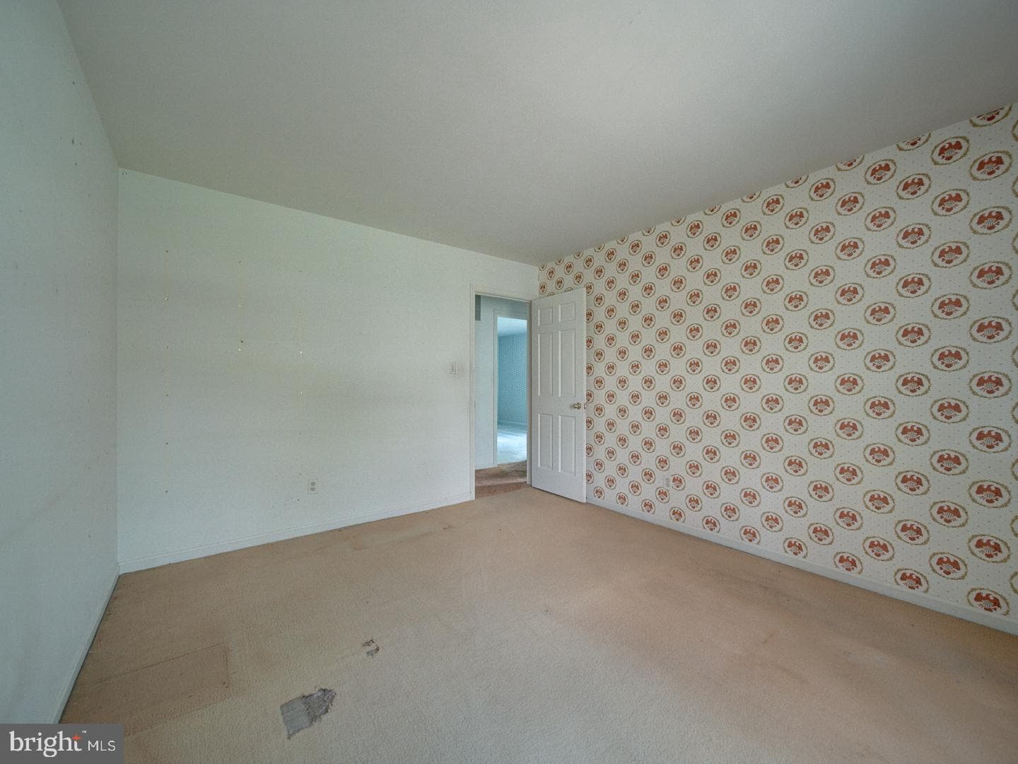 15313 Basswood Court photo 22