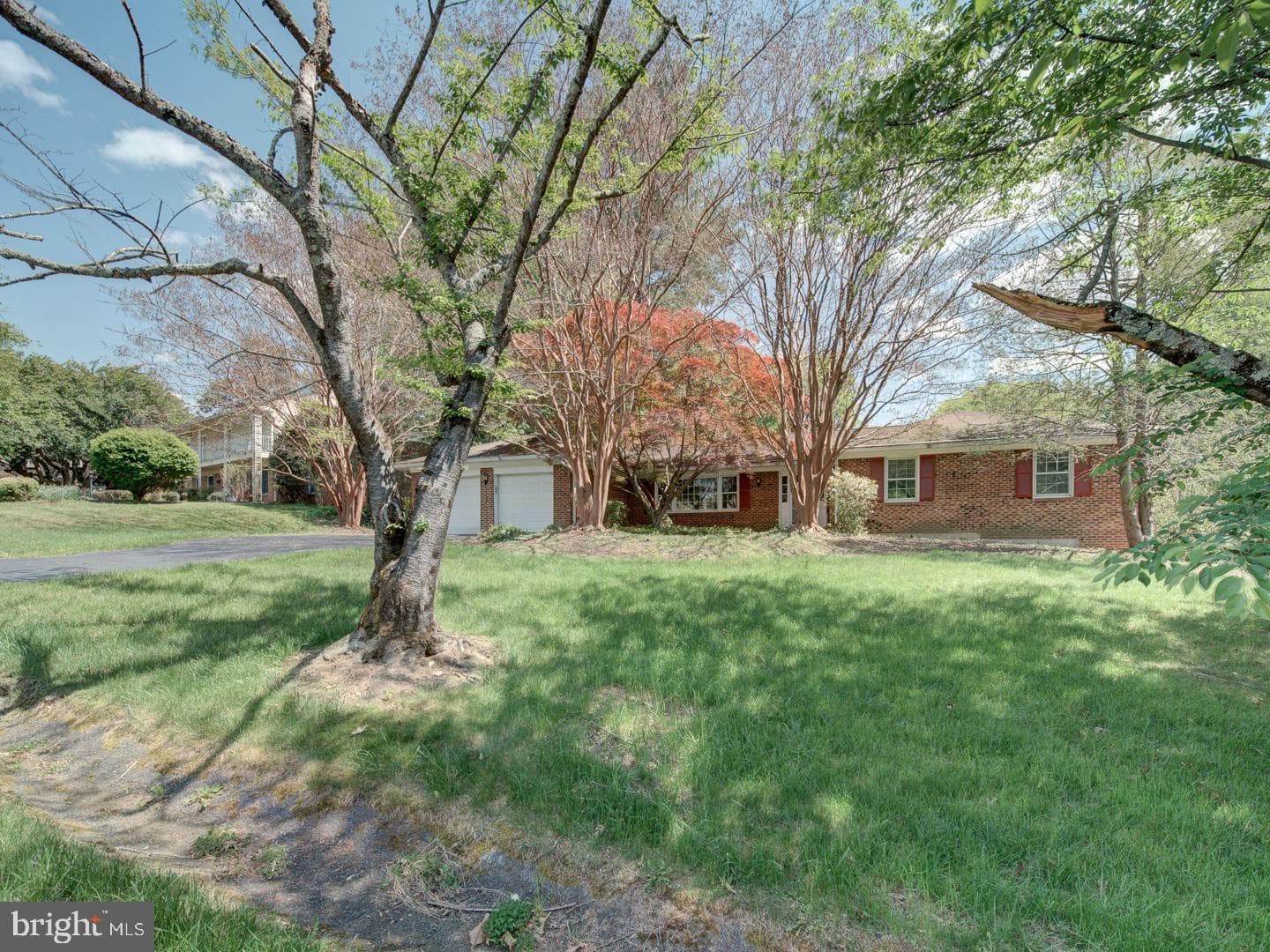 15313 Basswood Court photo 3