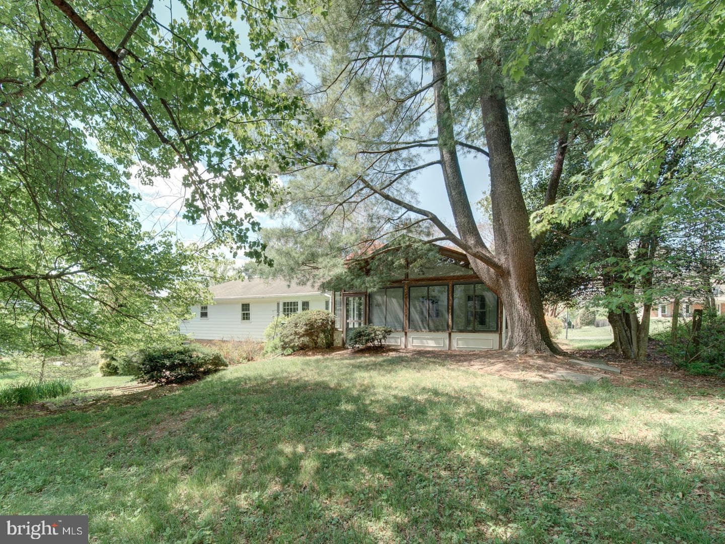 15313 Basswood Court photo 4