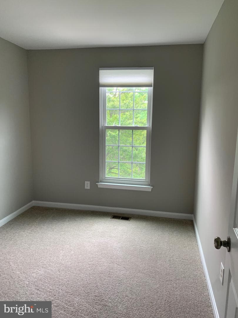 2621 Telluride Place photo 81