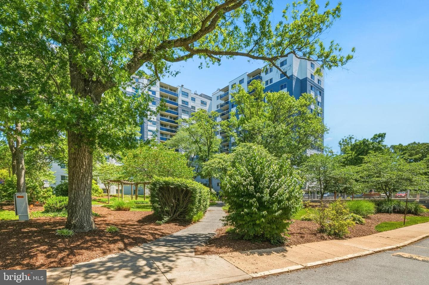 7333 New Hampshire Avenue #1106 photo 19