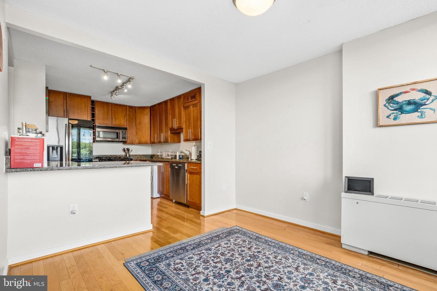 7333 New Hampshire Avenue #1106 photo 4