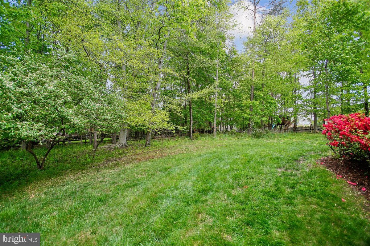 9208 Fall River Lane photo 51