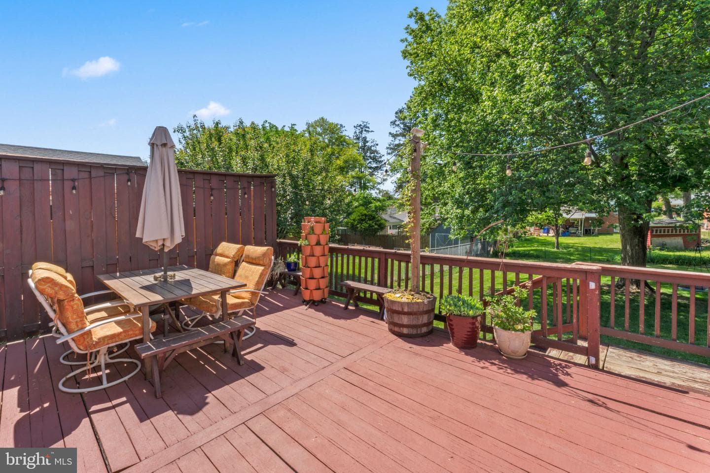12620 Grace Max Street photo 37