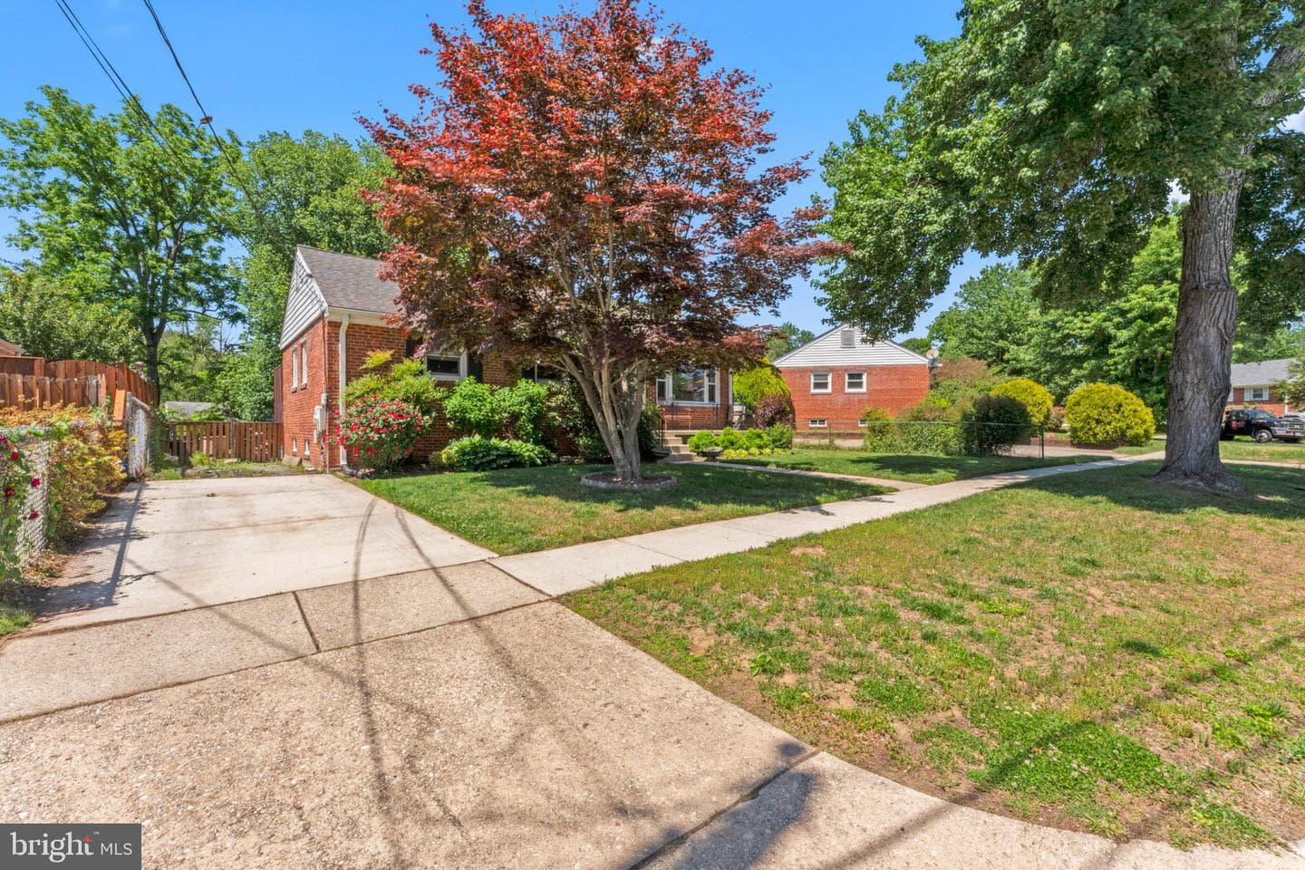 12620 Grace Max Street photo 4