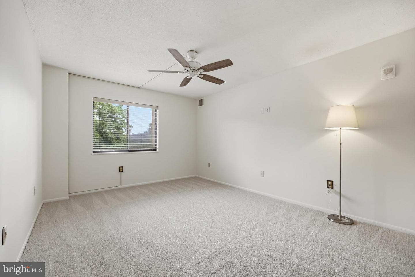 15115 Interlachen Drive #3-215 photo 14