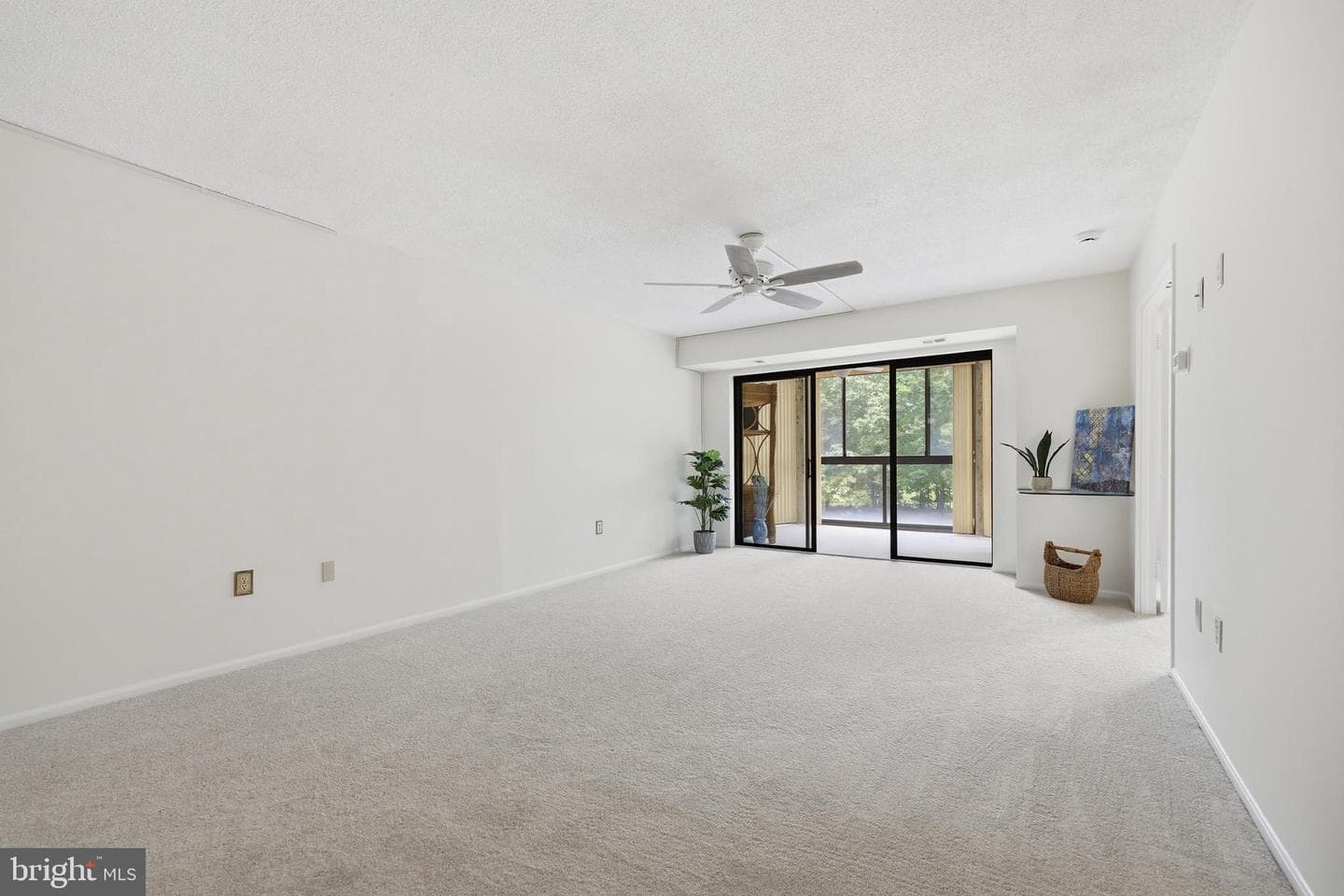 15115 Interlachen Drive #3-215 photo 4