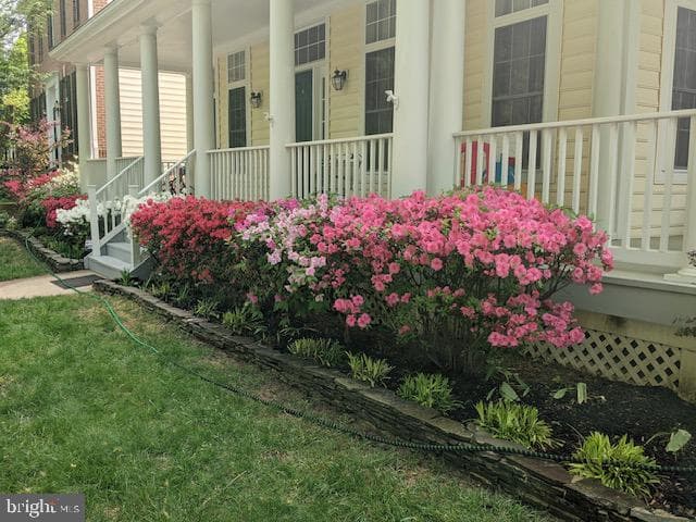 308 Barnside Place photo 52