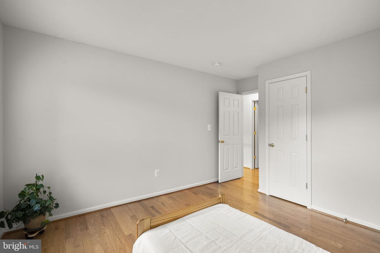 4012 Cotton Tree Lane photo 32