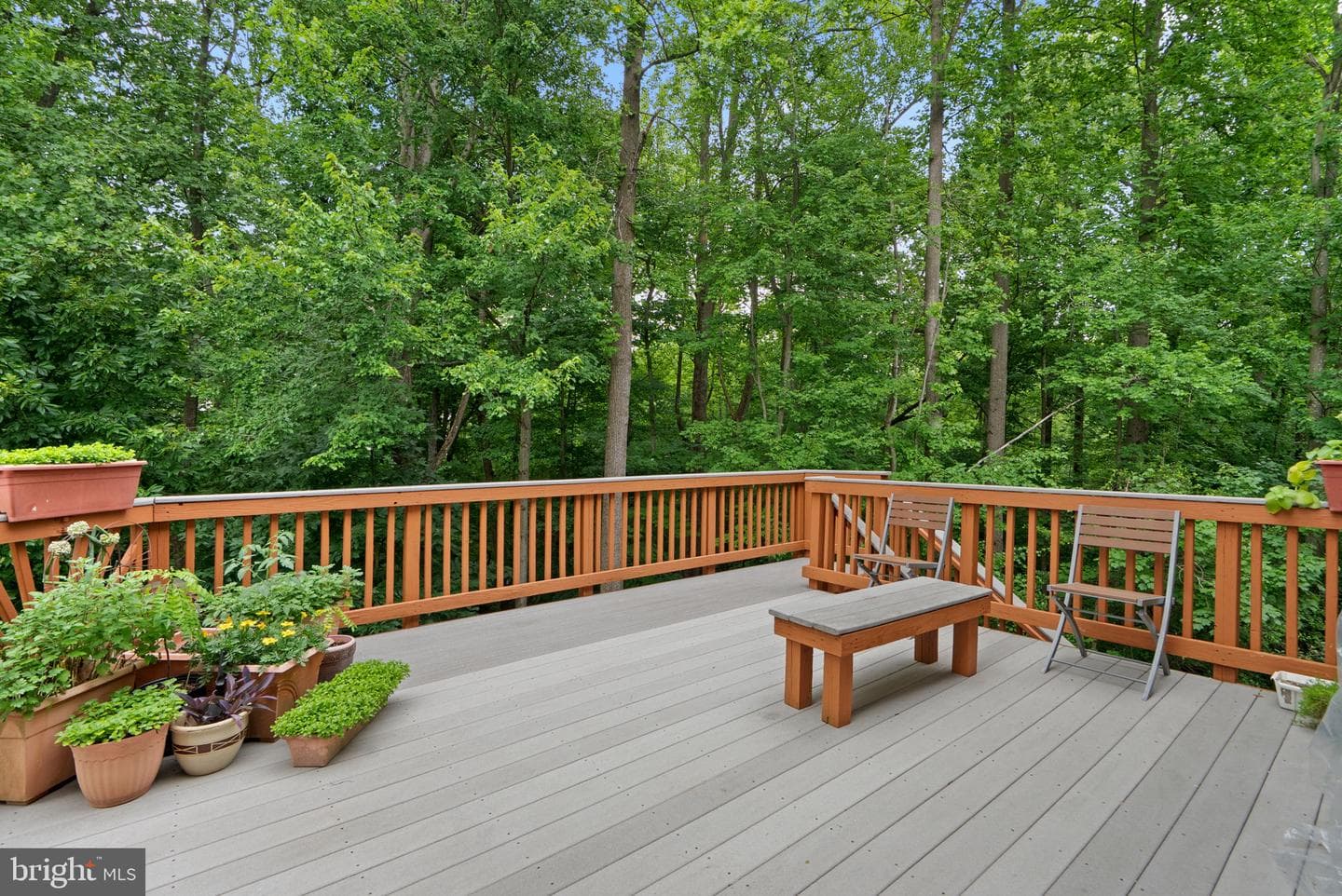 4012 Cotton Tree Lane photo 40